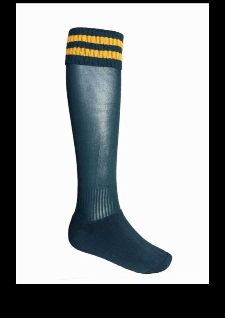 Stripes Socks Bottle/Gold 123