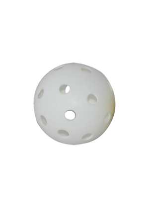 Fun Hockey Ball