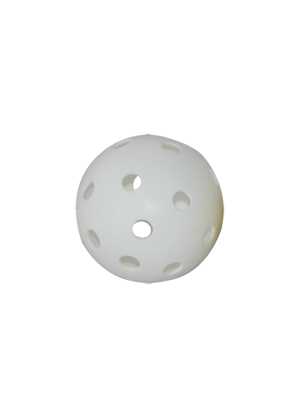 Fun Hockey Ball