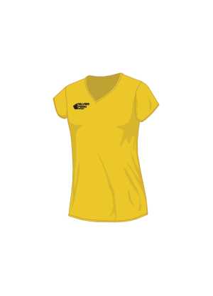 Silver Fern Netball Top (various colours)