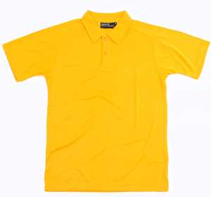 Kids Oxford Polo Gold 10