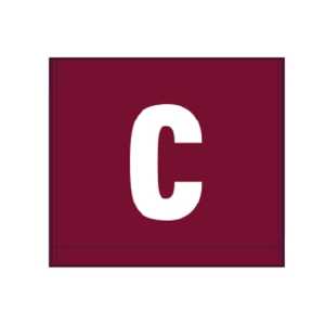 Silver Fern Sport Patch Bibs Set Maroon