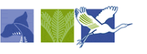 Wangapararoa College