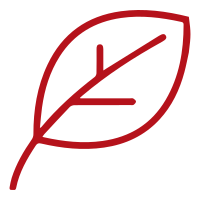 leaf icon